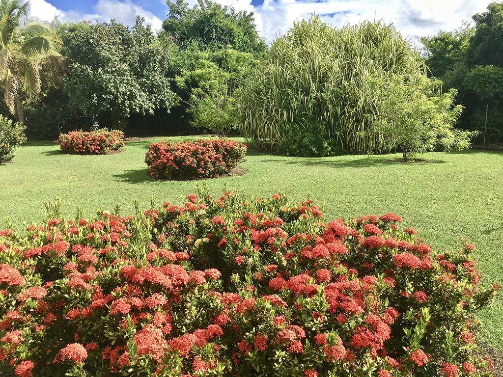 Residence Le Vallon Guadeloupe Parc Piscine Appartements & Studios & Services Hoteliers A La Carte Saint-Francois  Εξωτερικό φωτογραφία